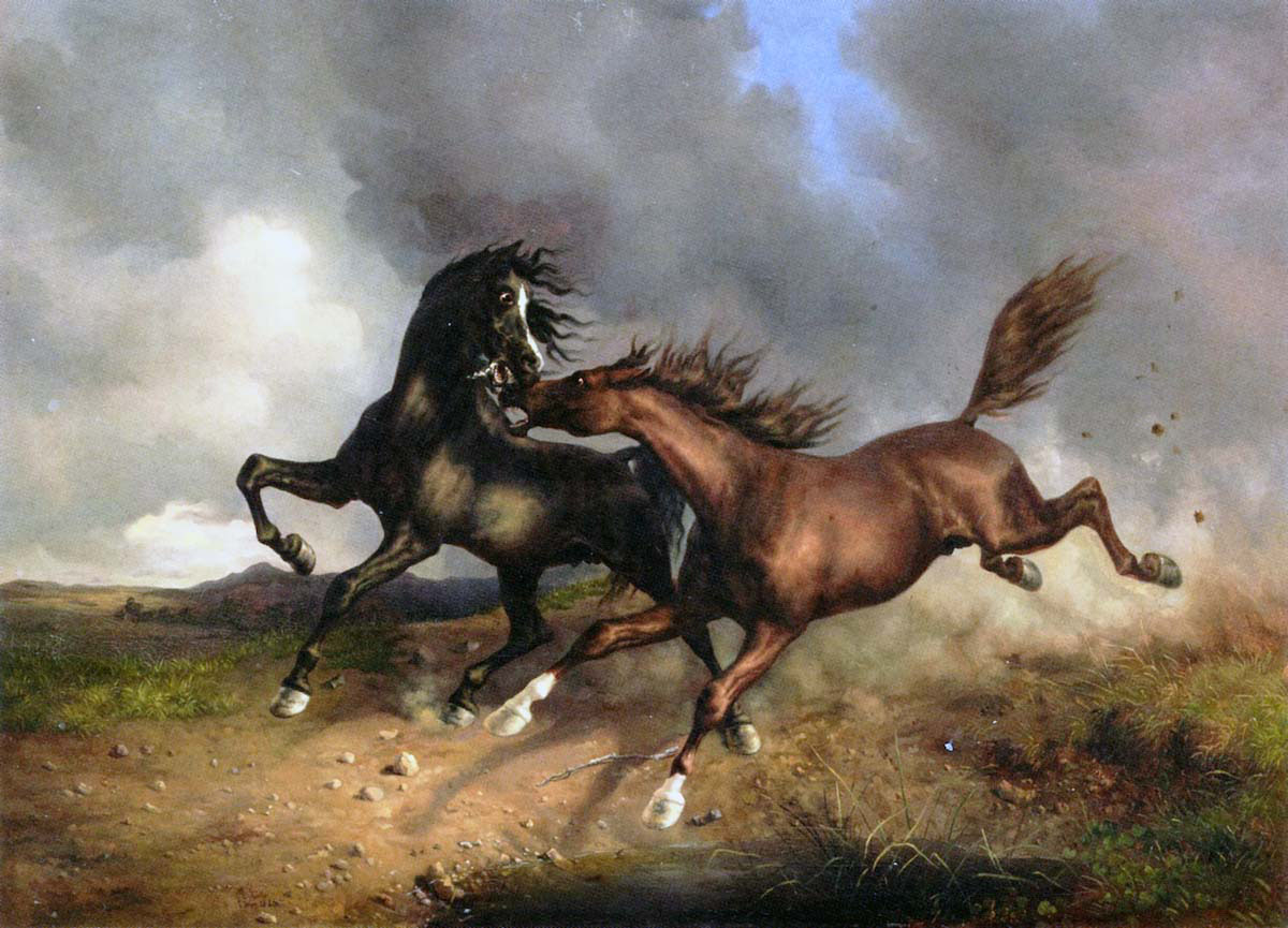 horses during a thunderstorm